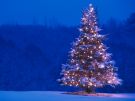 Rozsvícení vánočního stromu a výstava ručních prací 1